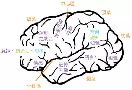 脑胶质瘤患者的疾病知识问答,脑胶质瘤权威知识