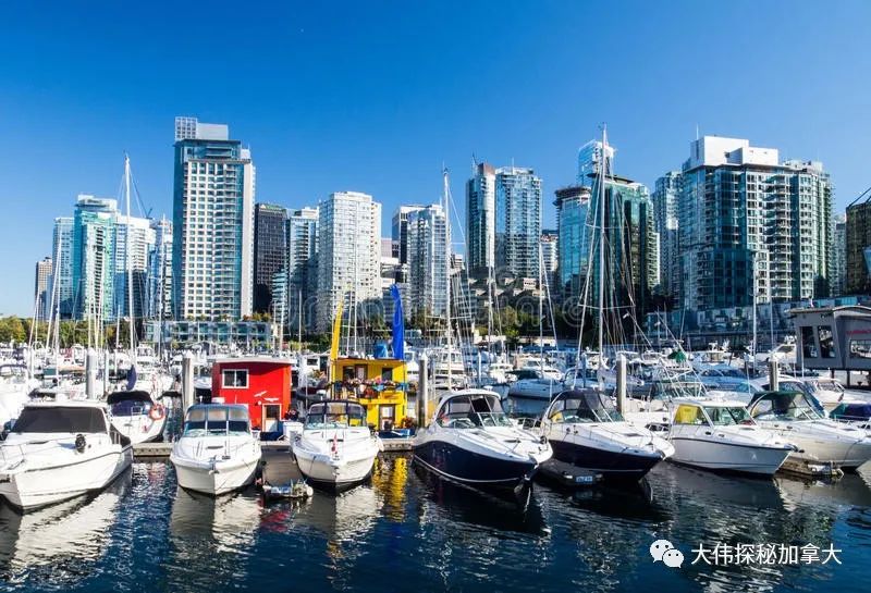 加拿大的价值观,加拿大的价值观是什么