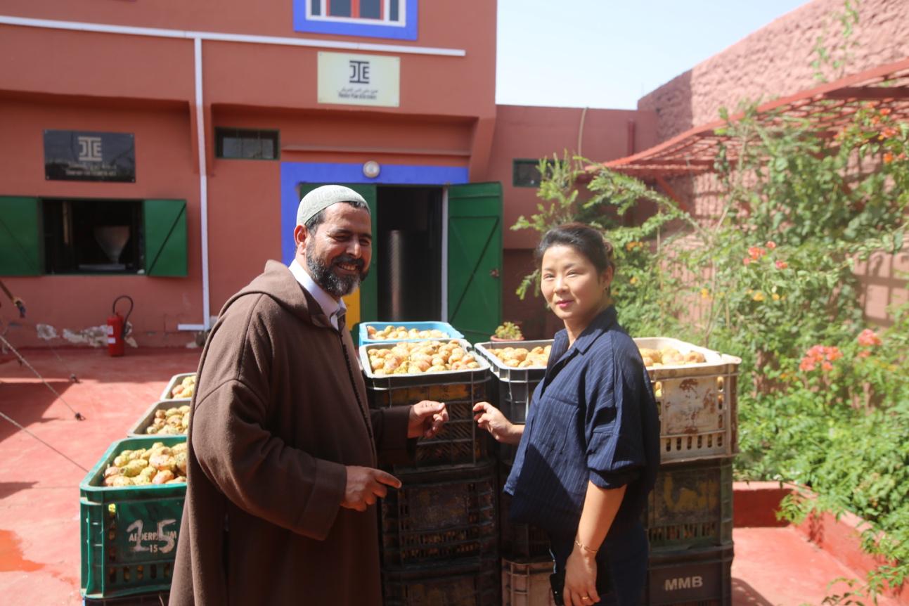 崔珍琳去过多少个国家,旅行达人崔珍琳