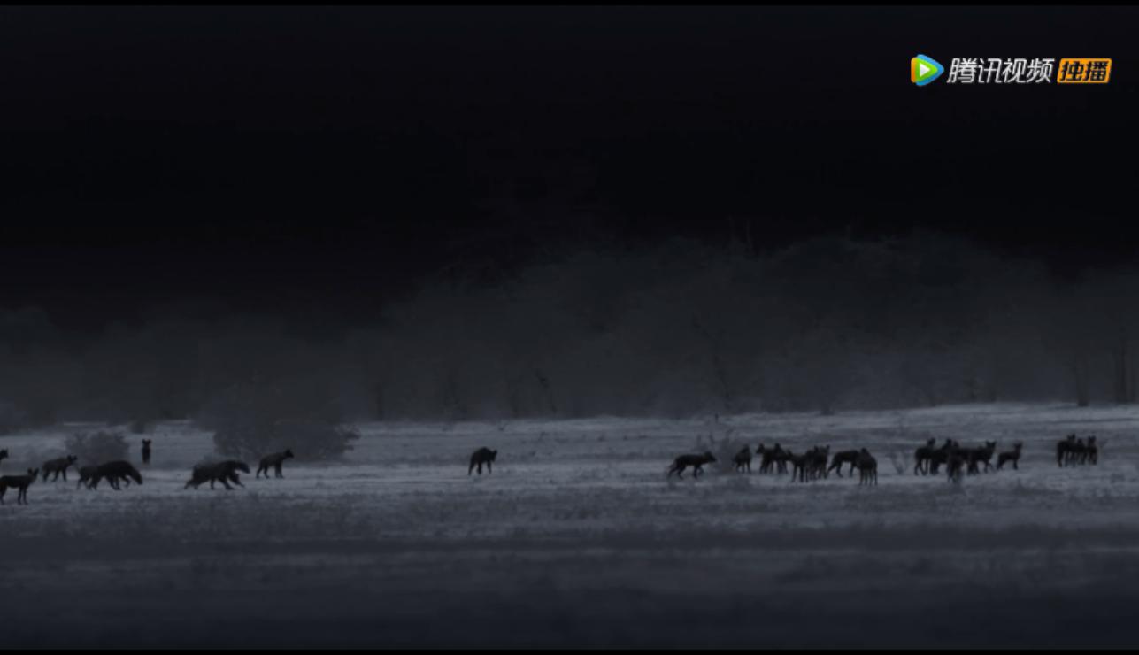 《王朝》详述杂*狼色**女儿居然对母亲六亲不认？