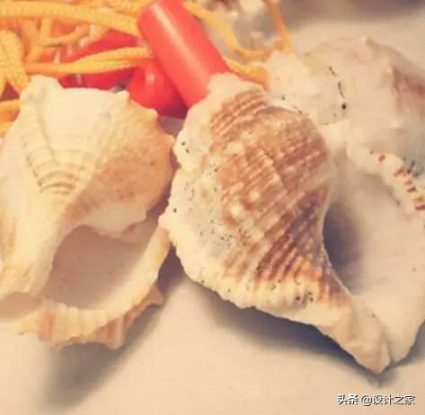 你真的老了,你真的老了吗完整版