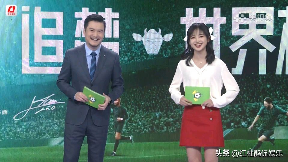 央视王冰冰个人资料简介,央视主持人跨界唱歌王冰冰