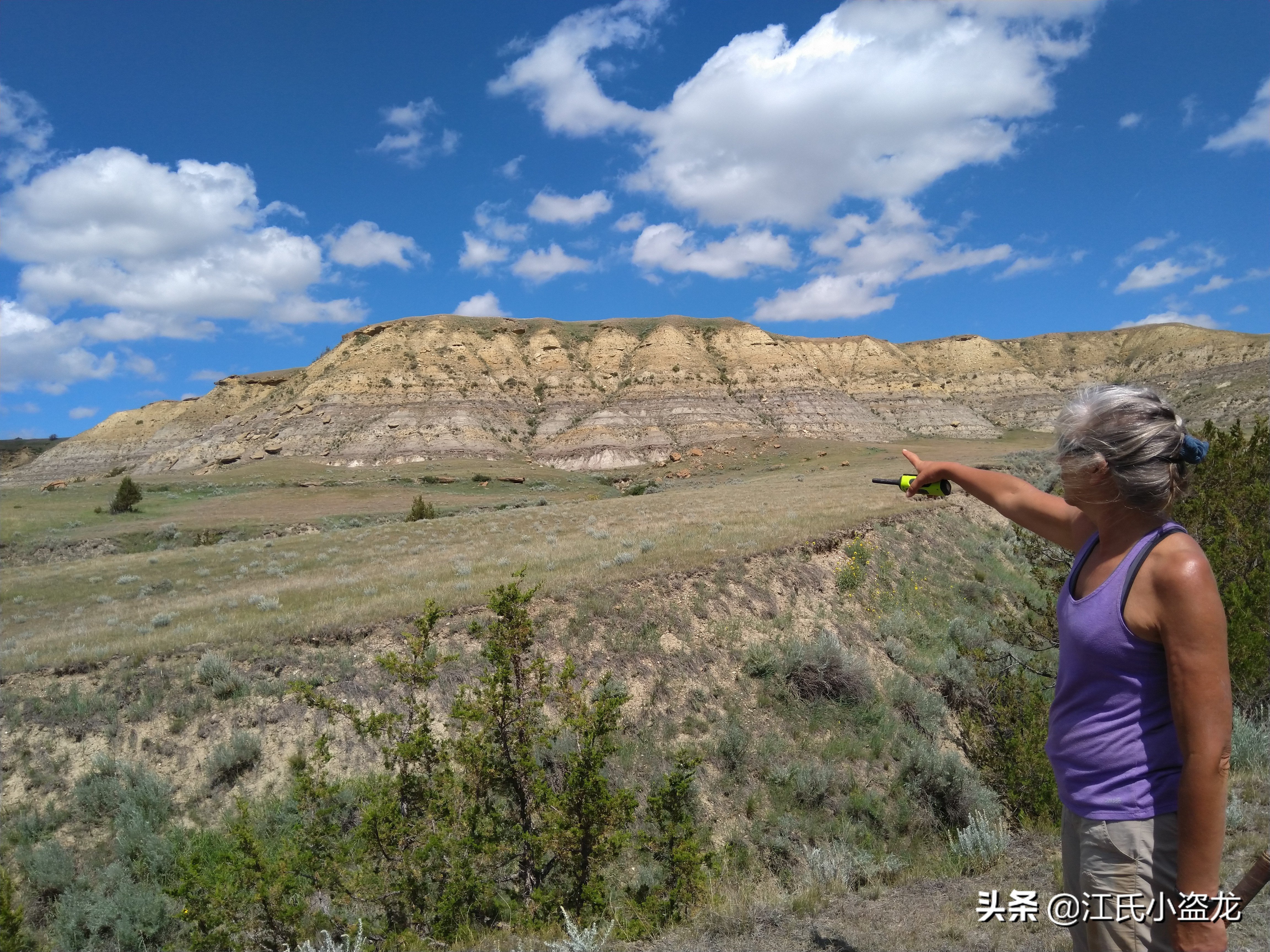 长得跟其他恐龙不一样的恐龙,盘点恐龙界最奇葩的恐龙