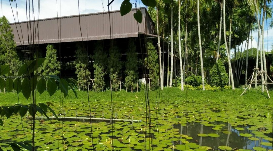 泰国清迈东方文华酒店,清迈夜市动物园附近酒店