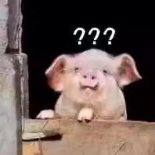 同事乱改表格，我要被折磨疯了！后悔没早知道这3个表格保护法