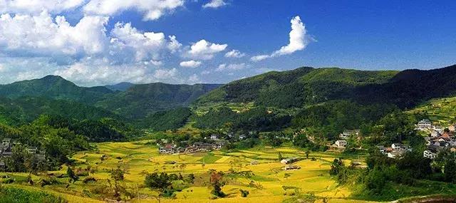 婺源油菜花田风景,藏于江西婺源深山中小村子