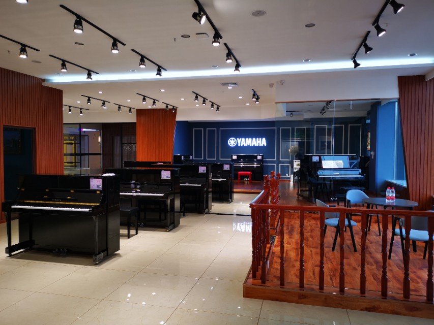 大庆乐器,大庆国际乐器店