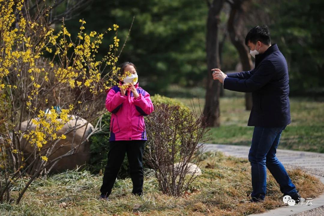 天津即将完工的公园,天津新开放的公园