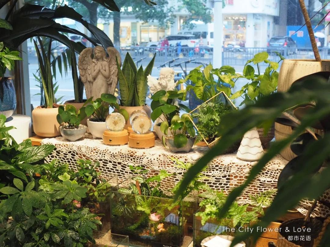 都市花语门票多少钱,都市花语免费阅读