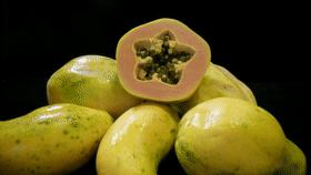 *处私**颜色深的女孩，私生活一定很乱吧？