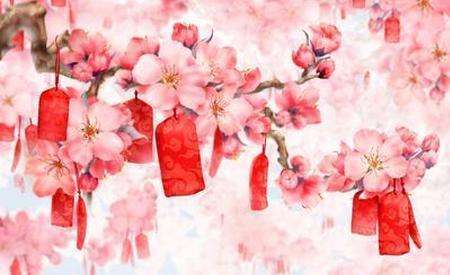 桃花位放在什么地方好,家中桃花位在什么位置