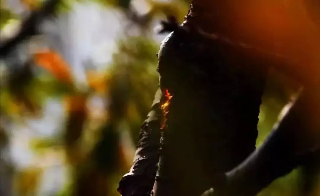 白墙裂缝用什么方法好得快,发霉白墙怎么重新刷