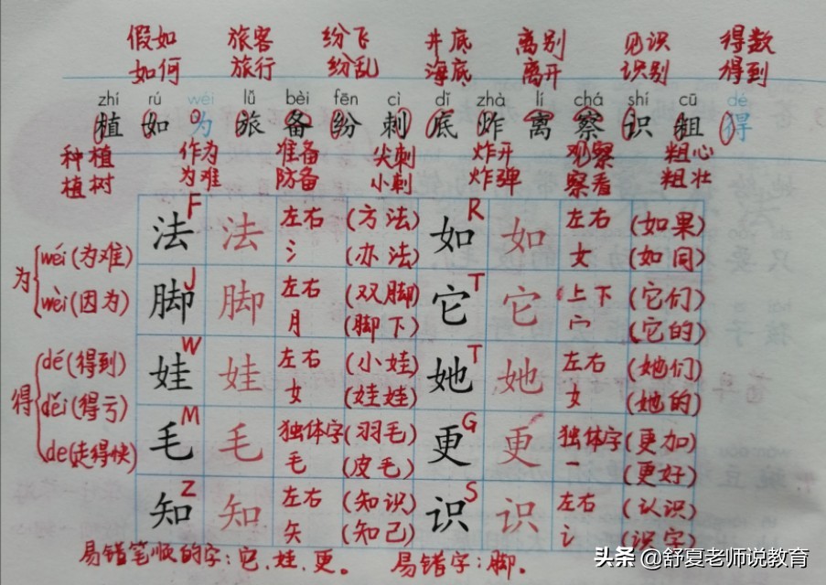 植物妈妈有办法二年级上册练习题,植物妈妈有办法二年级课文读后感