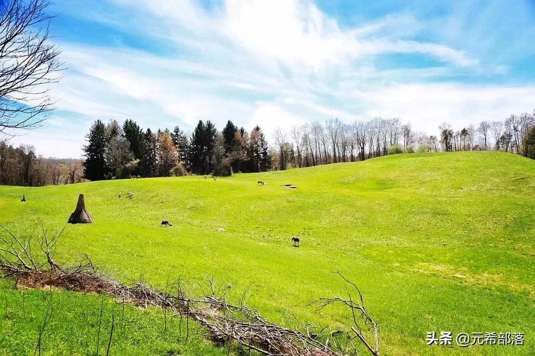 芝加哥周边小城旅游攻略,芝加哥旅游路线地图