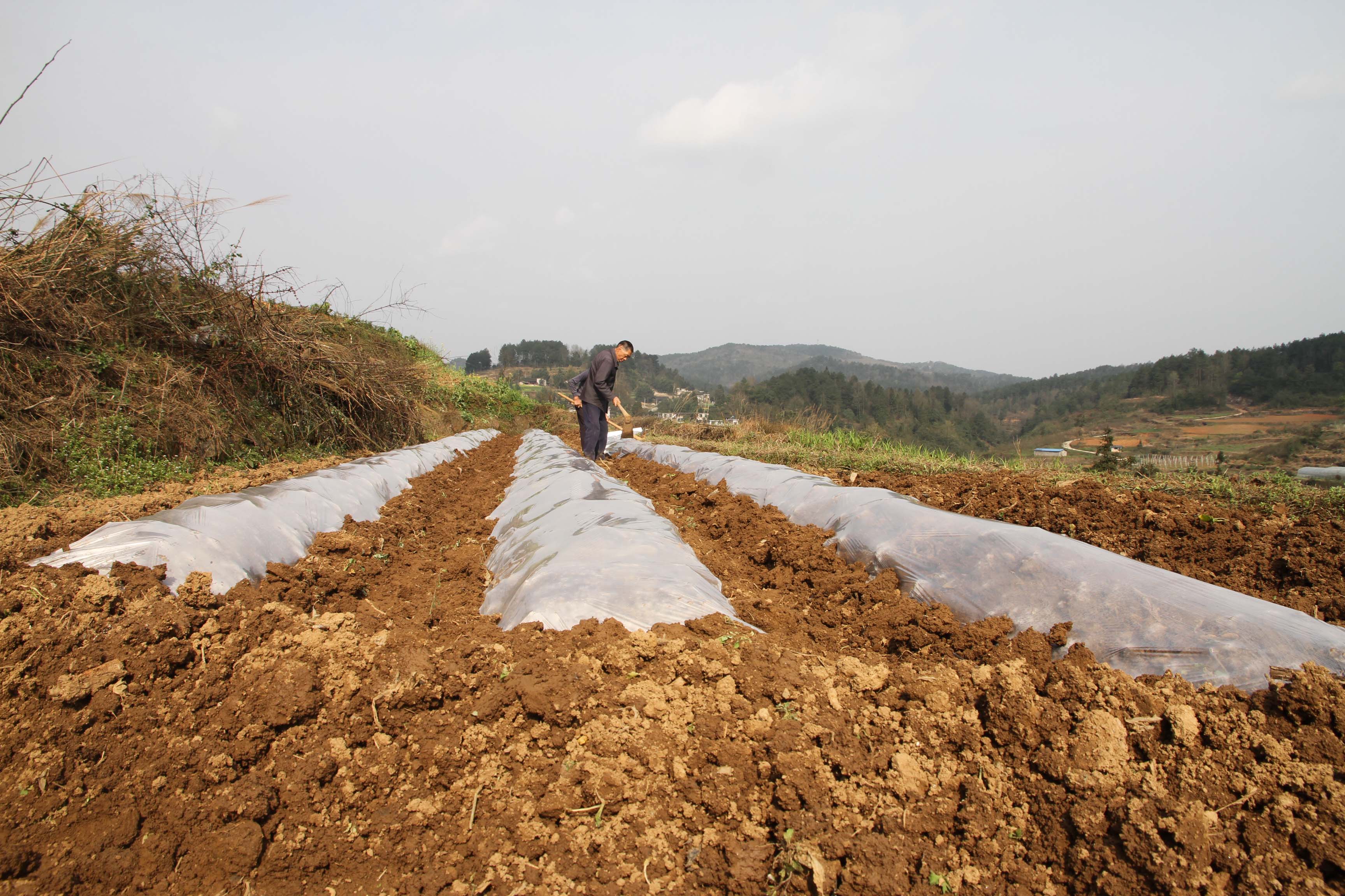 贵阳市开阳县*草烟**专卖局（分公司）奋进在高质量发展的新征程！