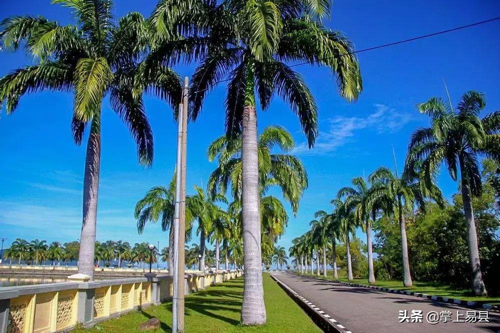 金山银山不如绿水青山植树活动,幼儿园绿水青山就是金山银山