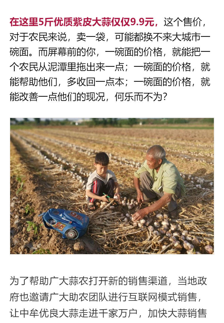 鍔╁啘鐧惧崄涓囦憨婊為攢澶ц挏,绱毊澶ц挏椴滆挏鍔╁啘5鏂よ