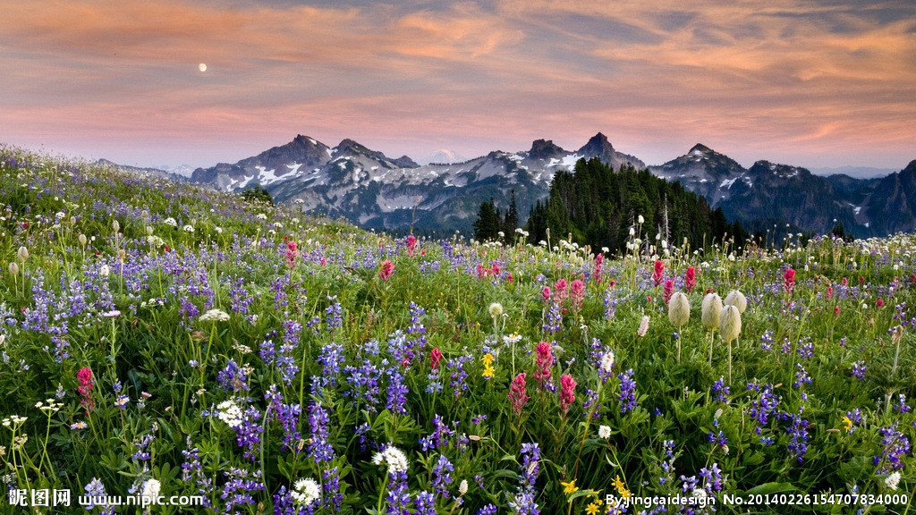 你知道蜻蜓为什么会飞吗？爱情必须轻，轻到可以在空气起舞