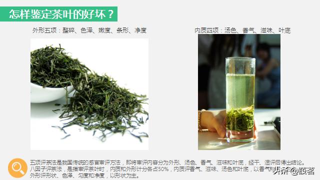 茶叶知识零基础入门手册书电子版,茶叶基础知识讲解课件视频