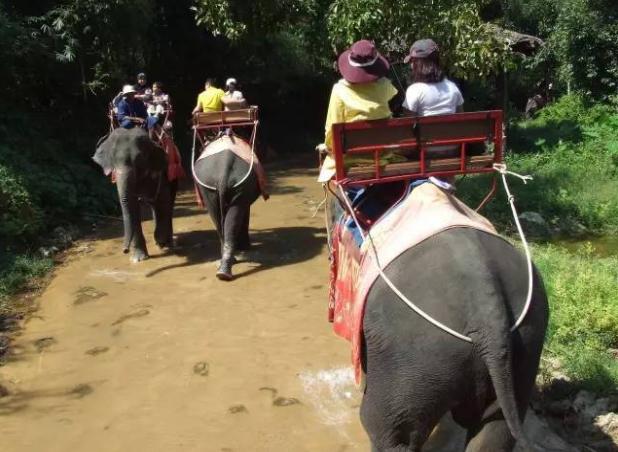 普吉岛自由行最佳时机,普吉岛报团旅游
