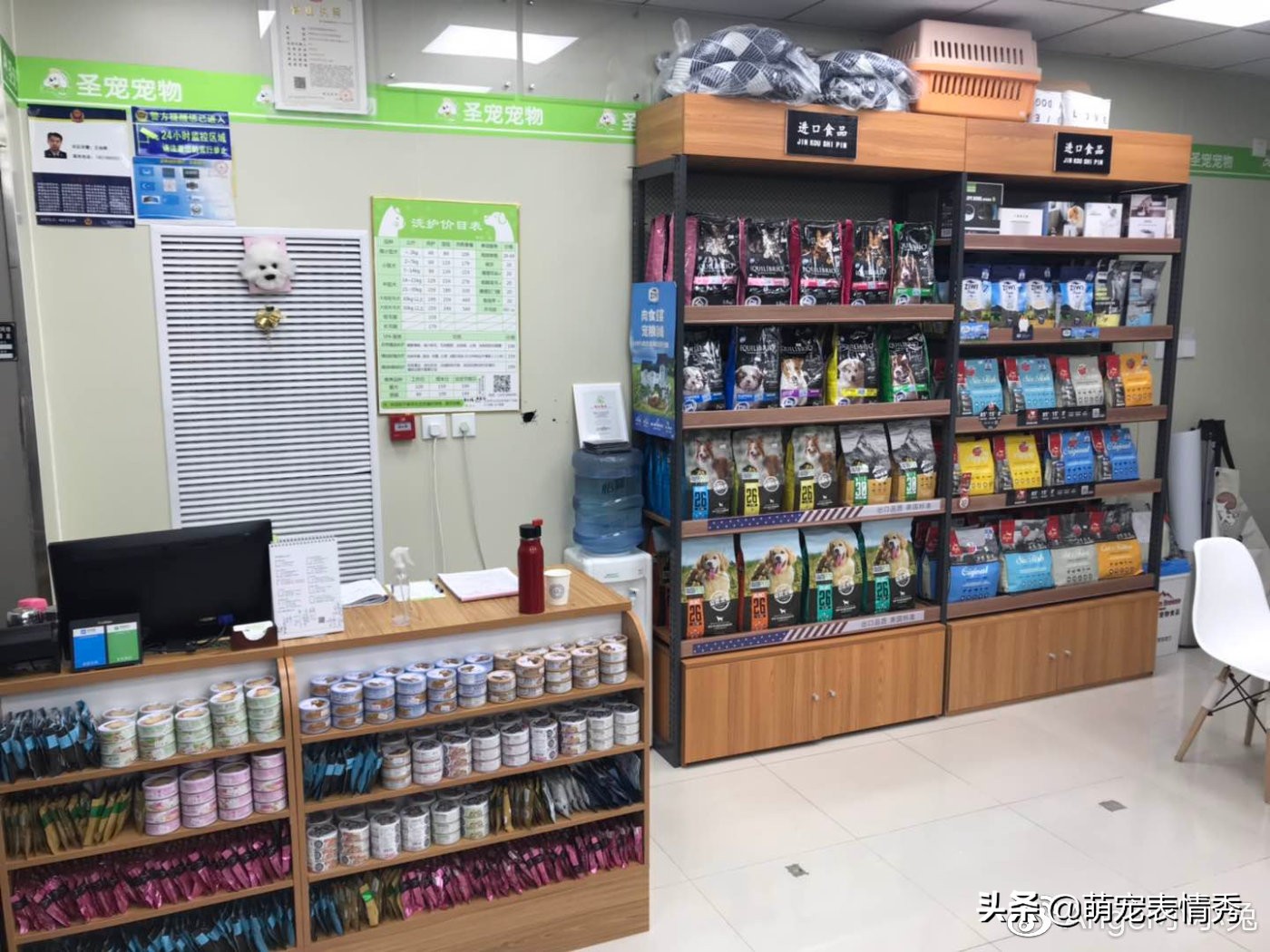 开宠物店的优势与劣势,开宠物店优势与劣势有哪些呢