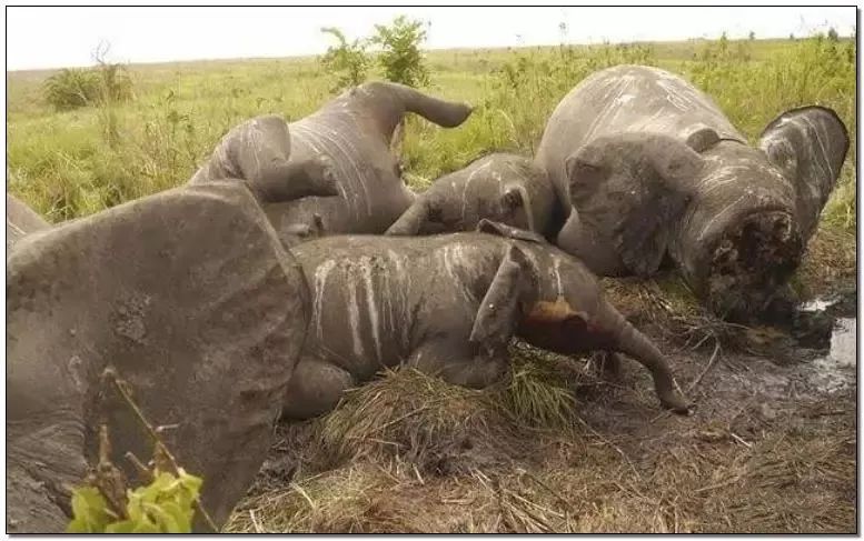 文玩的十大黑幕,文玩最让人无奈的六件事