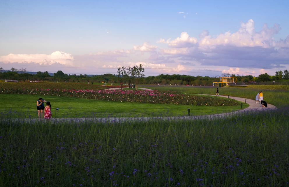 西安公园24小时开放,西安免费儿童玩的公园