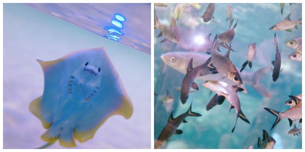 Travel||一周打卡新马泰的五城市，我pick了高性价比的新玩法