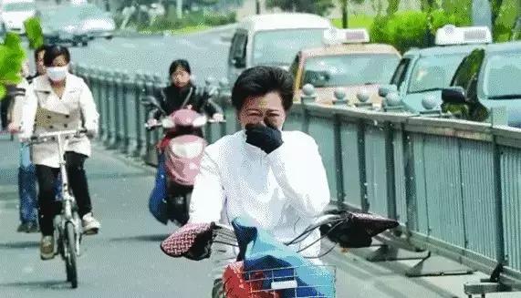 被柳絮困扰,被柳絮搞到崩溃是什么体验