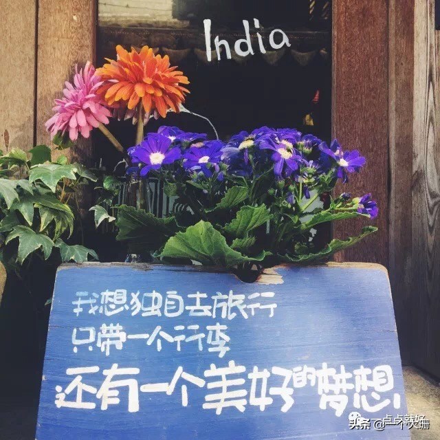 江南古镇游之烟雨西塘,苏州西塘古镇游记