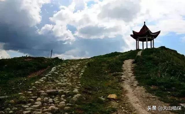 大美新疆百里画廊,北疆千里画廊打卡点