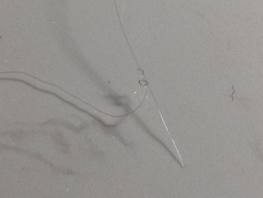 台钓子线与八字环结法,子线快速连接主线八字环方法