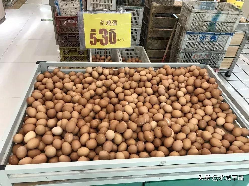 来，永城市场的“飞天猪”“火箭蛋”了解一下