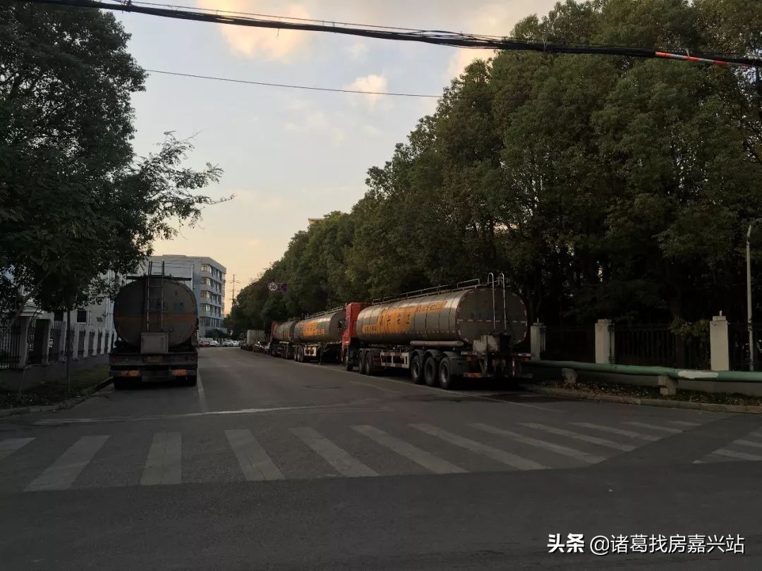 谁在嘉兴黑土地上“种”房子？