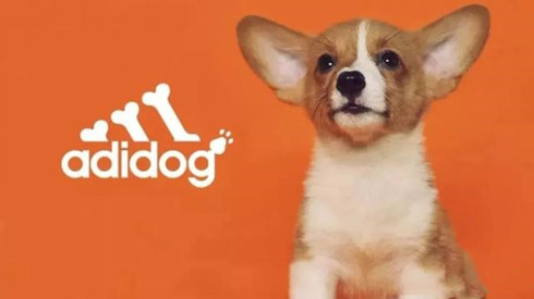 阿迪达斯出宠物服装了？不，其实是商标侵权