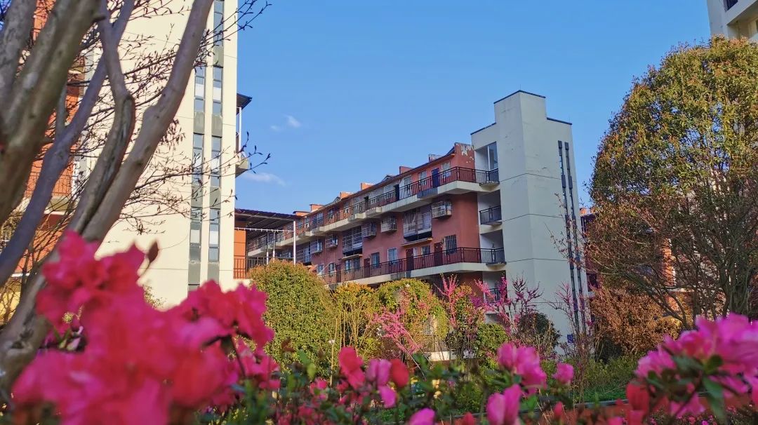 安徽九坝生态度假区,甘肃九坝生态度假区