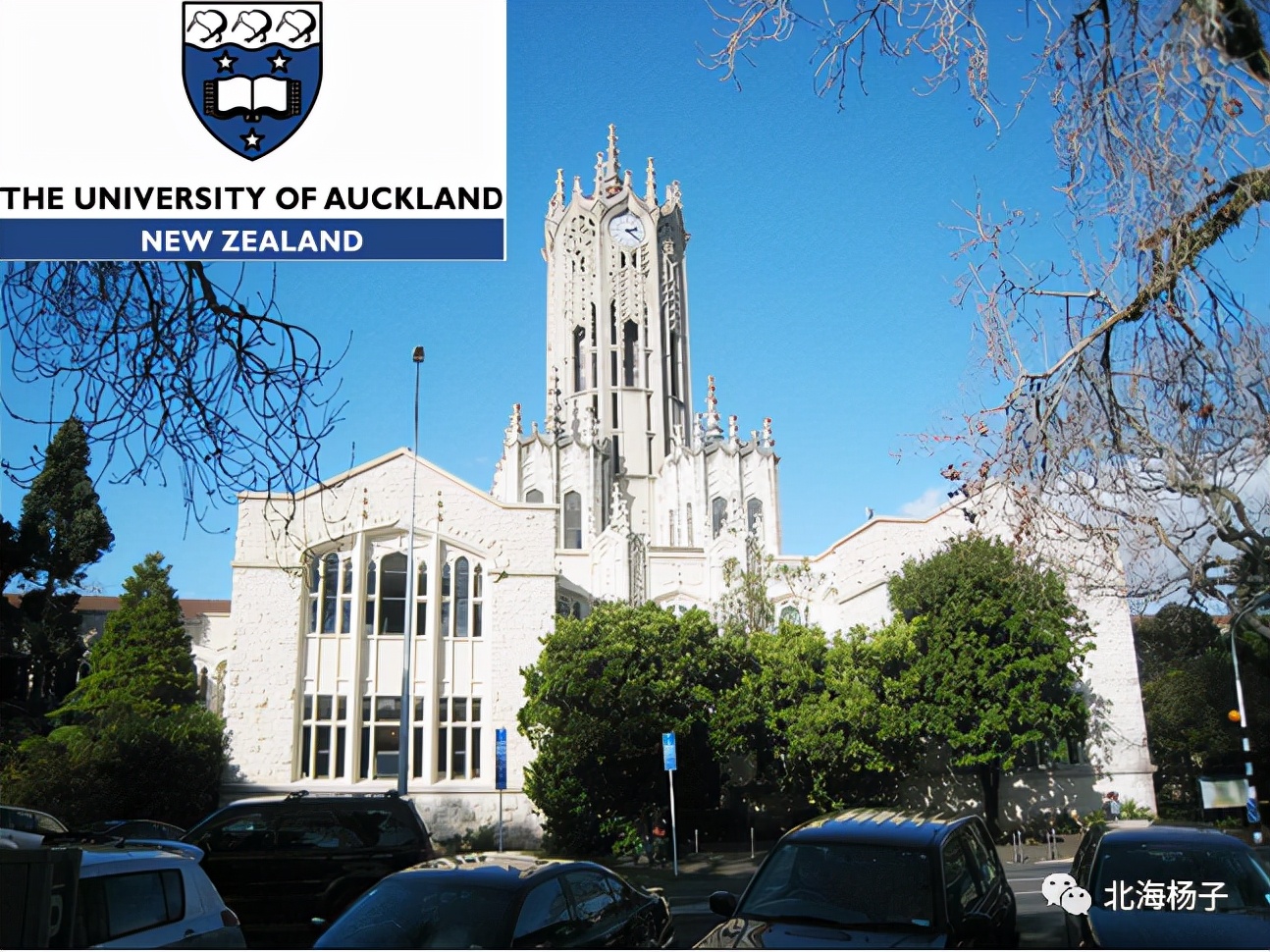 中国气候宜居城市2021,2021亚洲最宜居城市