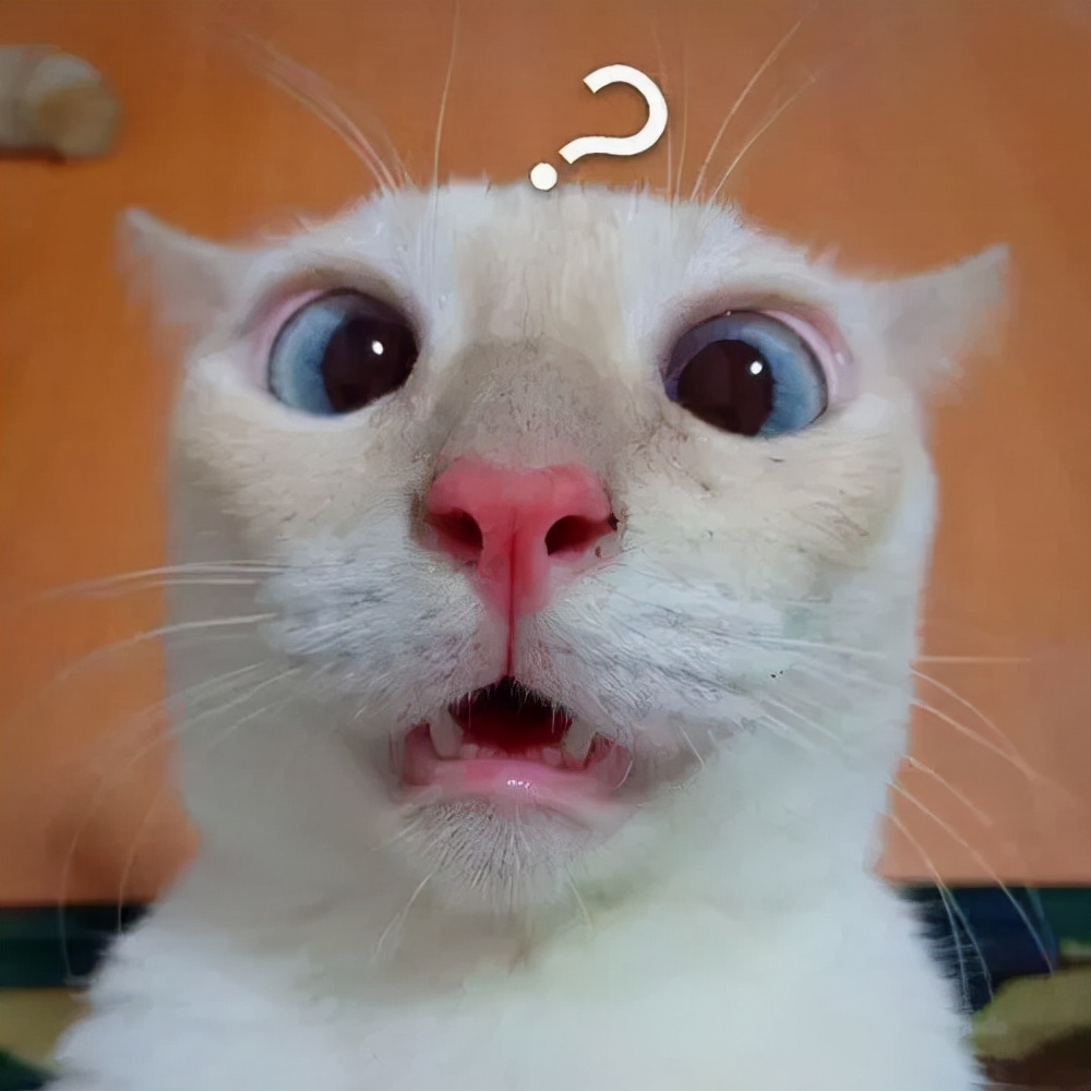 二手车几年车龄,几年车龄二手车最好