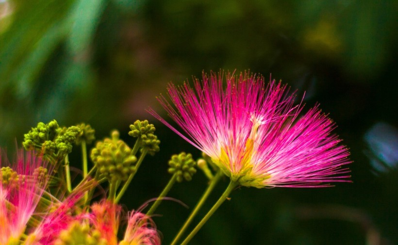 如何防止身边人嫉妒你,被人嫉妒了害你怎么办