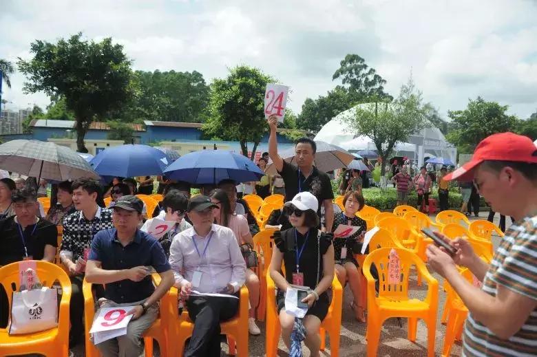 坭兴陶钦江古龙窑,钦江古龙窑开窑底款