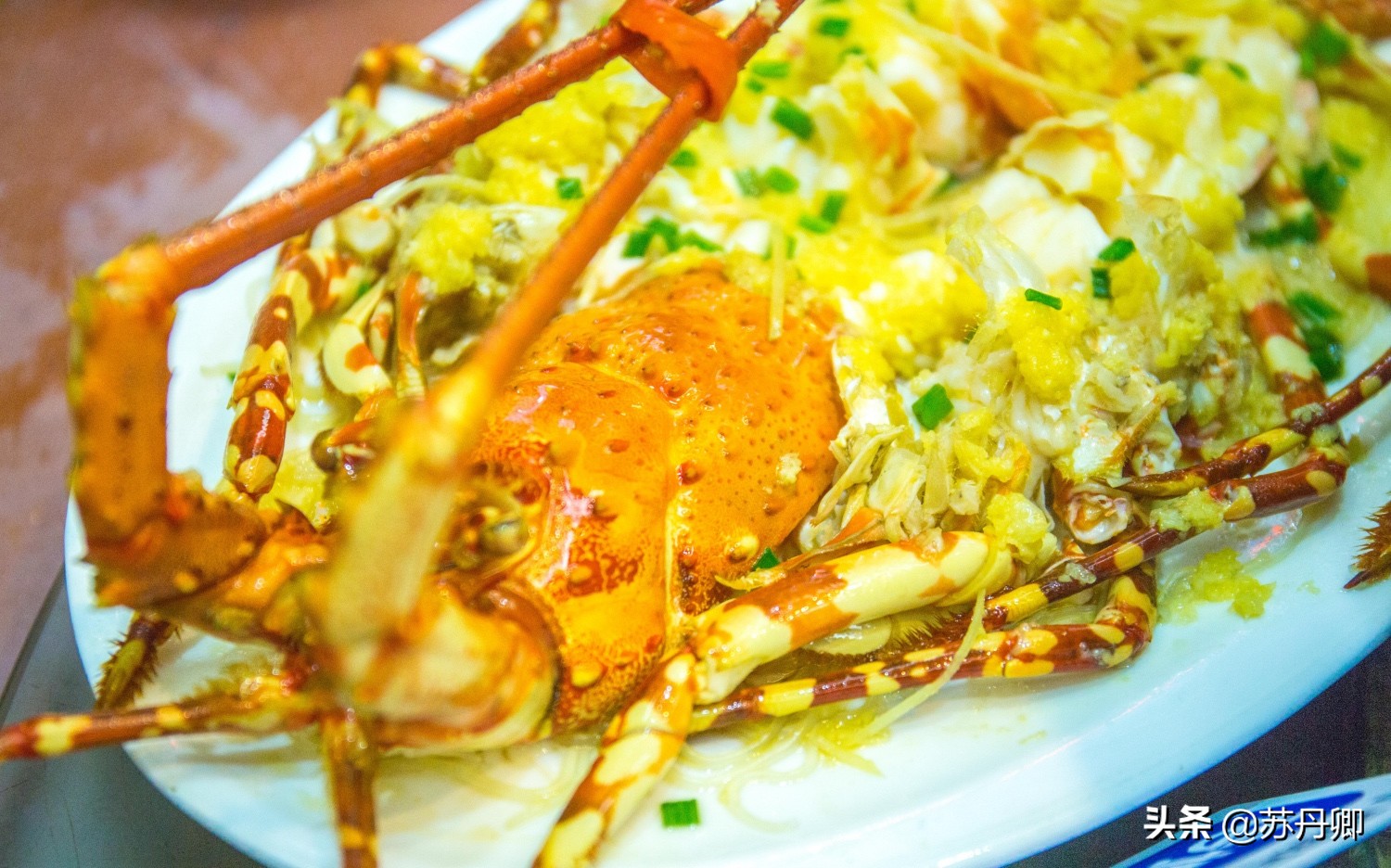 厦门海鲜1000块13道菜,厦门海鲜1599