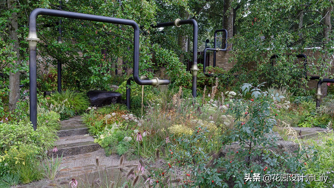 2023年切尔西花展各个花园的介绍,切尔西花展最佳花园