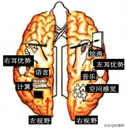 全脑开发收费10万,全脑开发这种机构到底靠谱吗