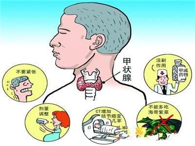 甲亢的健康教育动画视频,甲亢健康教育教学视频