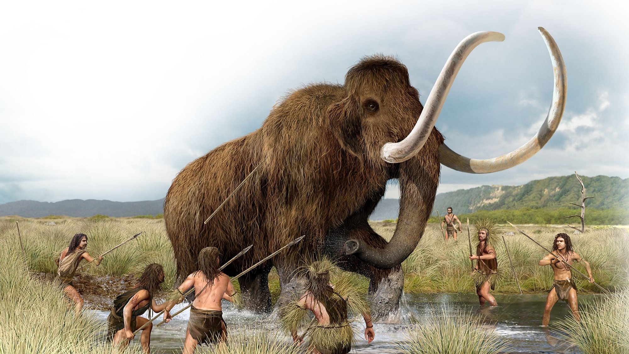 猛犸象冰河世纪的巨兽,冻土层下的猛犸象牙