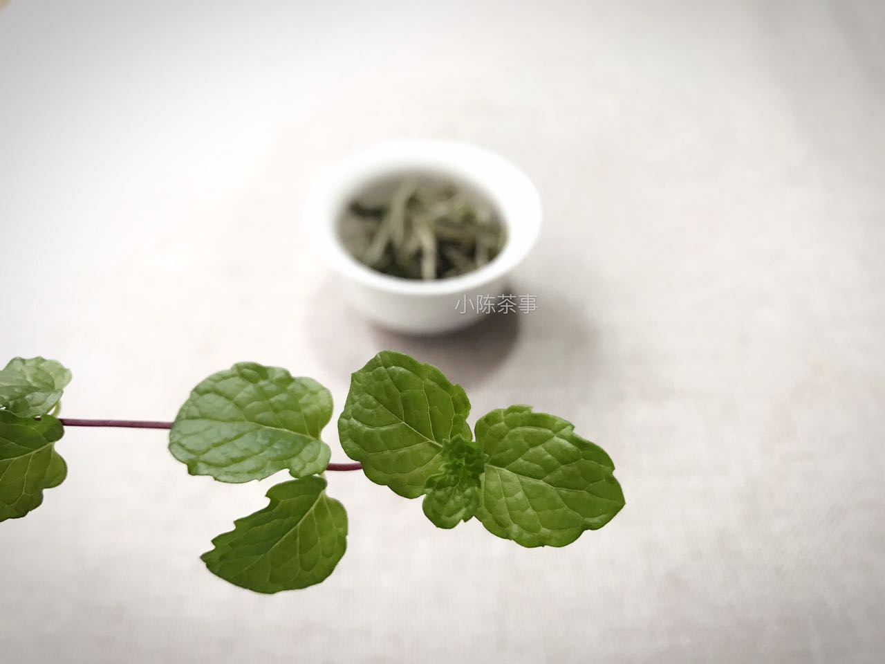 老白茶寿眉散茶好还是饼茶好喝,收藏白茶和收藏普洱的区别