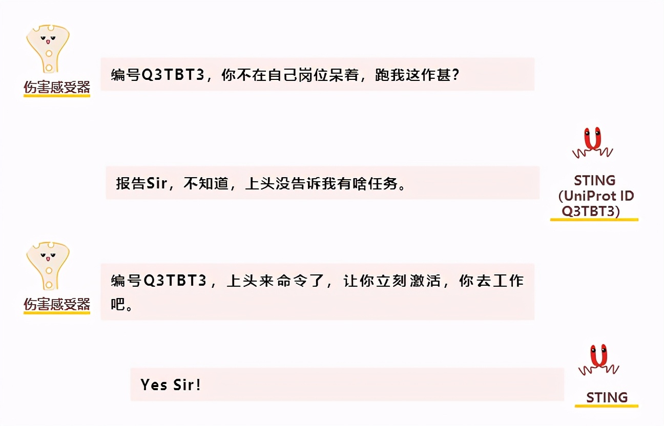 腰酸背痛吃点补品,腰酸背痛喝中药有效果吗