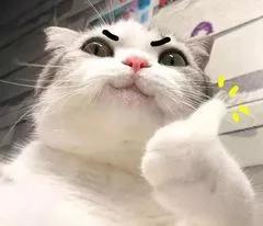 苏州办理居住证需要房东本人去吗,苏州办理居住证需要房东房产证吗