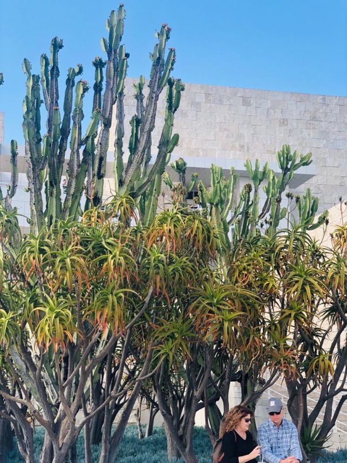 美国洛杉矶旅游七日游费用,去美国洛杉矶15天的旅游行程