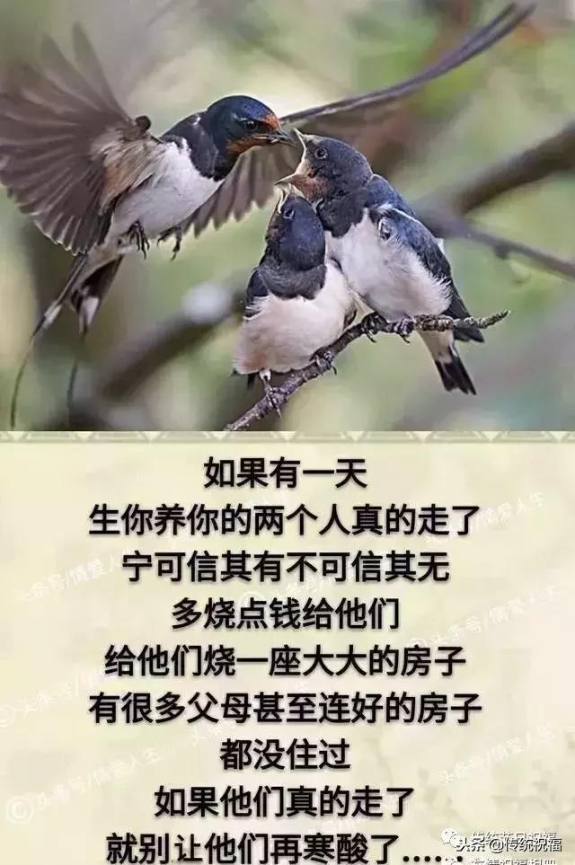 我的家庭相册怎么弄,我的家庭相册全集